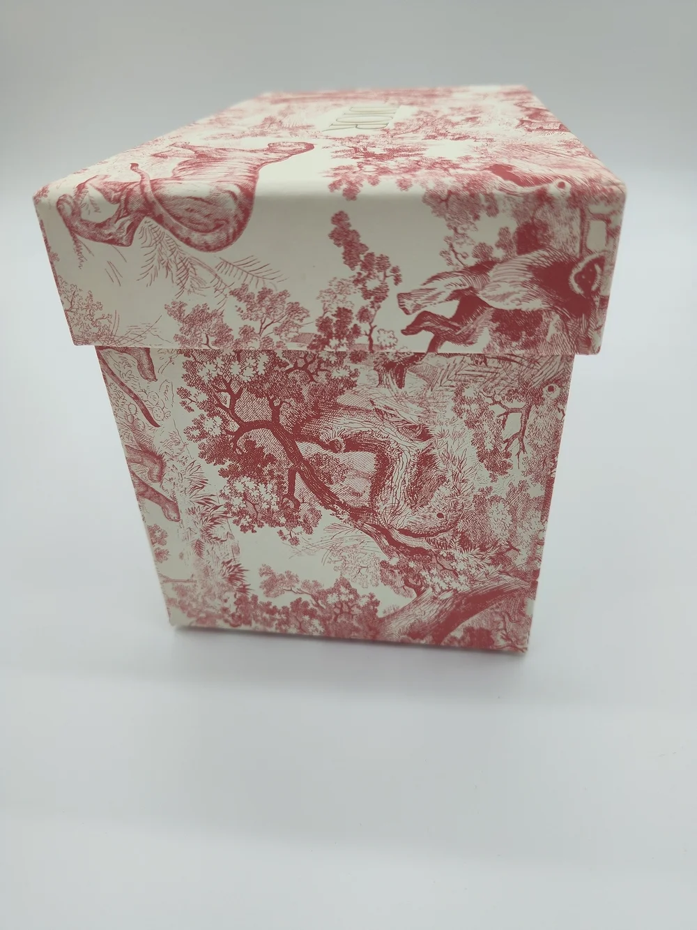 DIOR Toile Jungle Gift Box Tissue Paper Ribbon Set Pink Cream Gold Packaging EUC